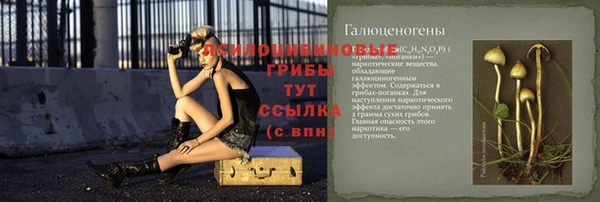 тгк Балахна