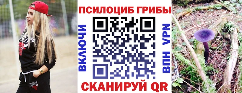 Галлюциногенные грибы GOLDEN TEACHER  наркота  Спасск-Дальний 