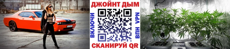 где можно купить   Спасск-Дальний  МАРИХУАНА гибрид 